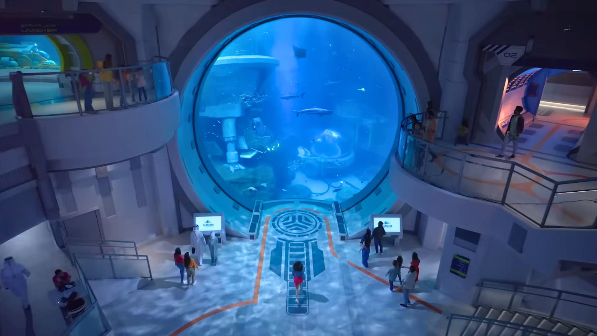 Nieuwe mantarog losgelaten in een van de grootste aquaria ter wereld