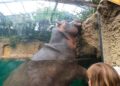 Hippodom en uilenklooster afgesloten door vogelgriepuitbraak in Duitse dierentuin