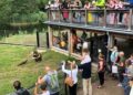 Dierentuin in Lelystad gaat stoppen met otters, wilde zwijnen en paarden