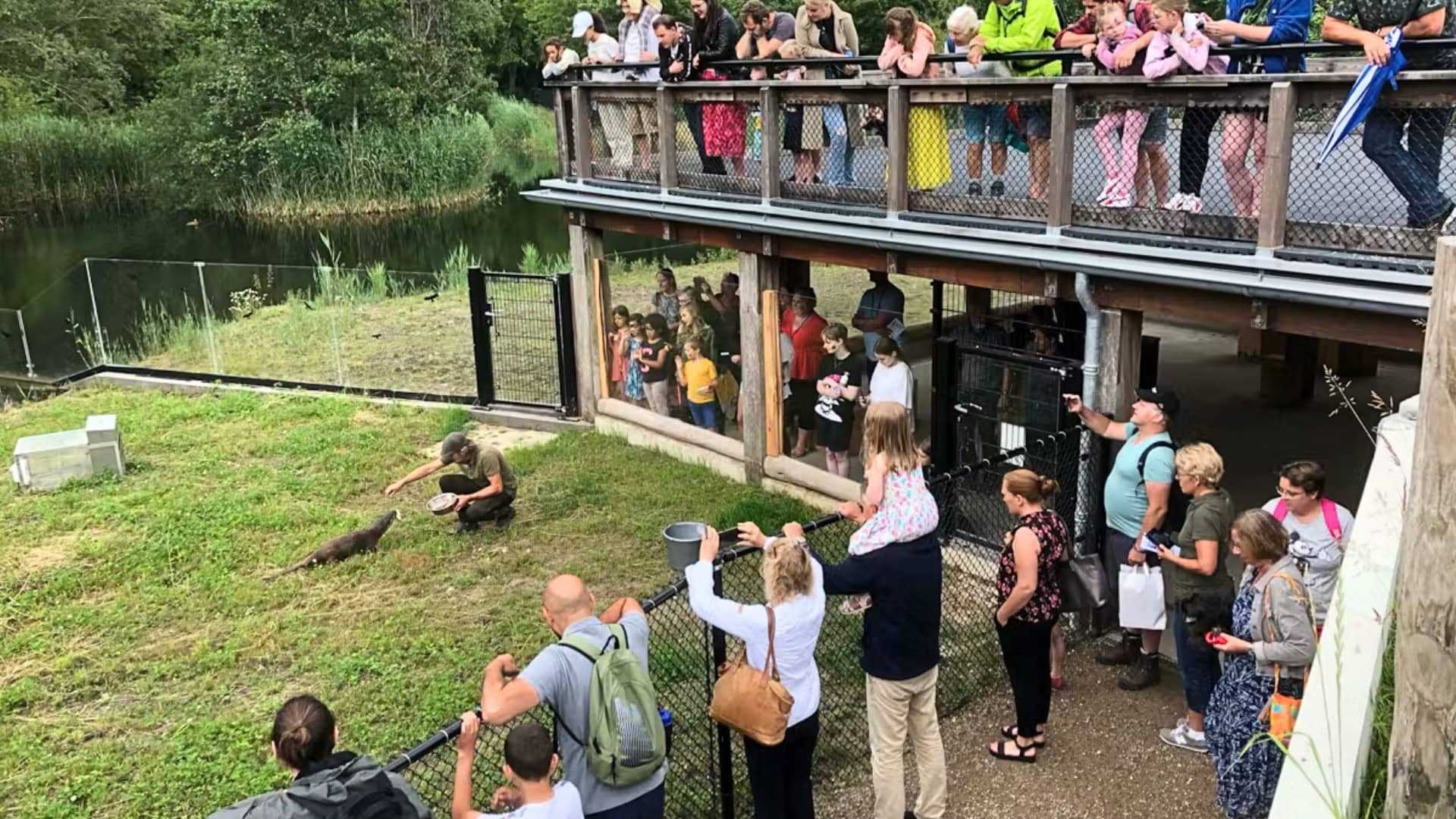 Dierentuin in Lelystad gaat stoppen met otters, wilde zwijnen en paarden