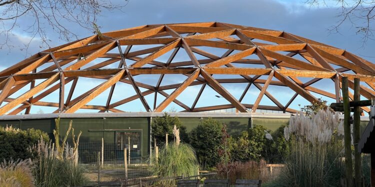 Beeld: Zoo Inside