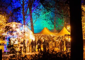 Winterheul keert terug naar Apenheul na geflopte eerste editie