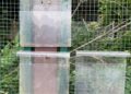 Plotselinge leegloop van tientallen vogelsoorten in grootste vogelpark ter wereld