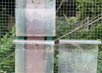 Plotselinge leegloop van tientallen vogelsoorten in grootste vogelpark ter wereld