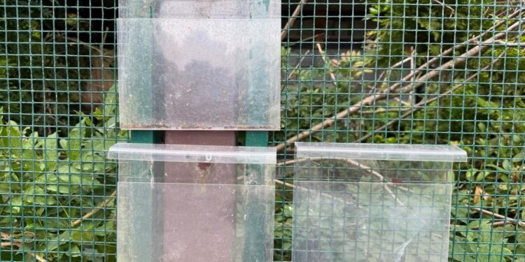 Beeld: Daniels Wildlife