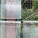 Plotselinge leegloop van tientallen vogelsoorten in grootste vogelpark ter wereld