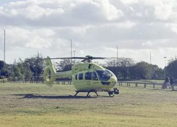 Man betreedt tijgerverblijf van Britse dierentuin: overleden na aanval