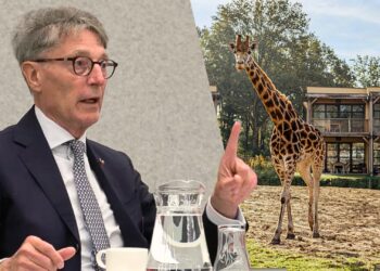 Eigenaar Beekse Bergen uit grote onvrede in Tweede Kamer: ‘Ik word gehakblokt’