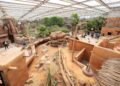 Nog slechts één dier te zien in grootste nieuwe verblijf van Burgers’ Zoo: nieuwe bewoners op komst