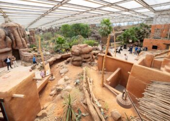 Nog slechts één dier te zien in grootste nieuwe verblijf van Burgers’ Zoo: extra bewoners op komst
