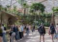 Pairi Daiza investeert 200.000 euro in bescherming van stuk grond in Ecuador