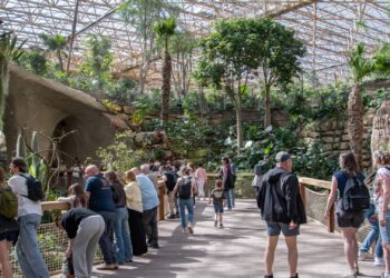 Pairi Daiza investeert 200.000 euro in bescherming van stuk grond in Ecuador