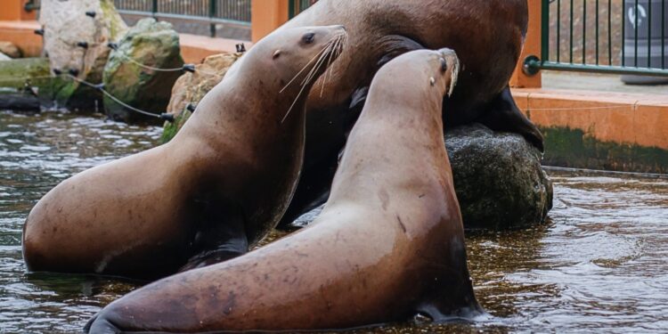 Beeld: VTL Photography, Zoo Inside