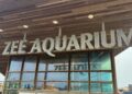 Einde in zicht voor aquarium in Noord-Holland: eigenaren denken na over toekomst zonder dieren