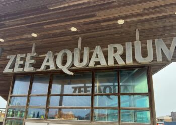 Einde in zicht voor aquarium in Noord-Holland: eigenaren denken na over toekomst zonder dieren