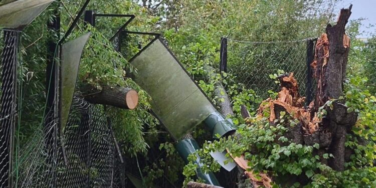 Beeld: Sobryke H.