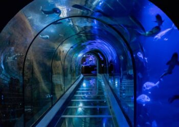 Onderwatertunnel in Noord-Holland blijft maandenlang dicht voor verbouwing