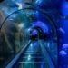 Onderwatertunnel in Noord-Holland blijft maandenlang dicht voor verbouwing