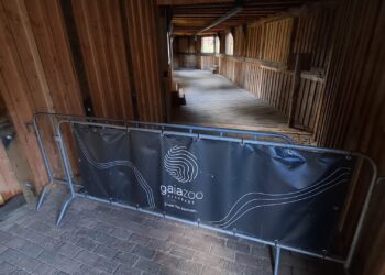 GaiaZoo wacht met opening van nieuwe verblijven: dieren zijn al gearriveerd